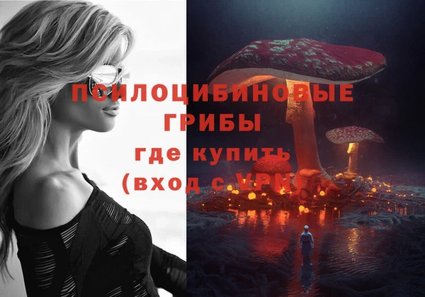 таблы Алзамай