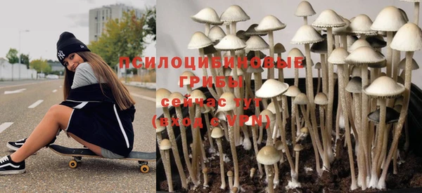 прущие грибы Ростов