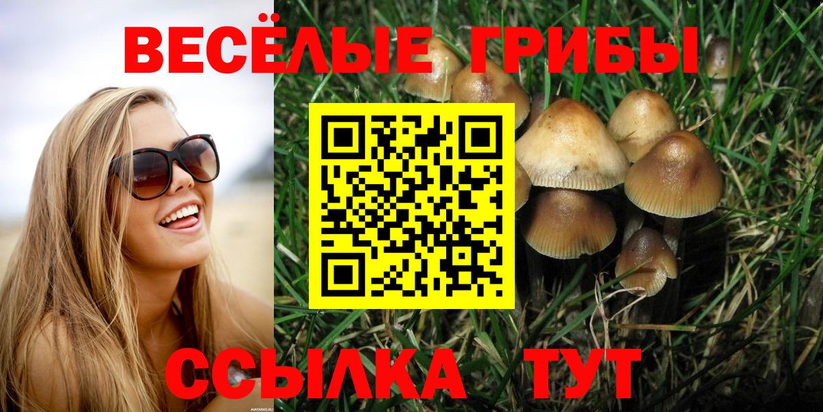 Кулебаки  Псилоцибиновые грибы Magic Shrooms  Псилоцибиновые грибы мухоморы  Вход с VPN 